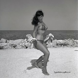 Bettie Page Hottie In Bikini 1954 Camera Negative Photograph Bunny Yeager Rare