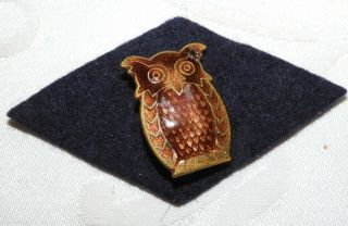 Vintage Girl Guides Tawny Owl Assistant Pin Badge - Enamel