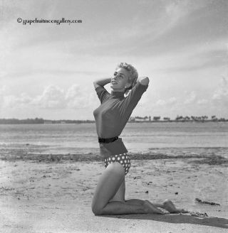 Bunny Yeager 1950s Camera Pin - Up Negative Sexy Blonde Model Beatnik On Beach