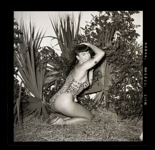 Bettie Page Leopard Leotard Pinup 1954 Camera Negative Bunny Yeager